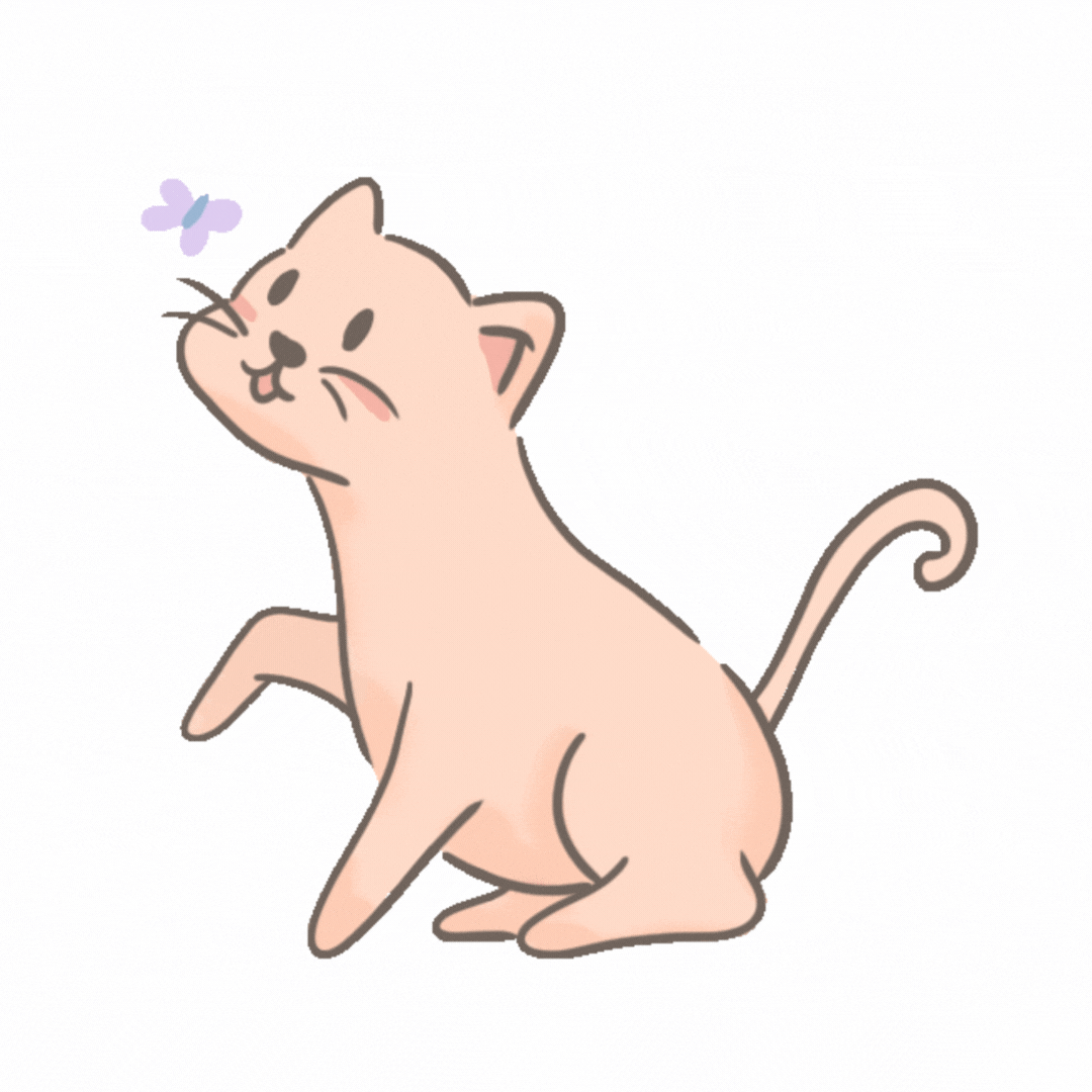 Katzen wissen