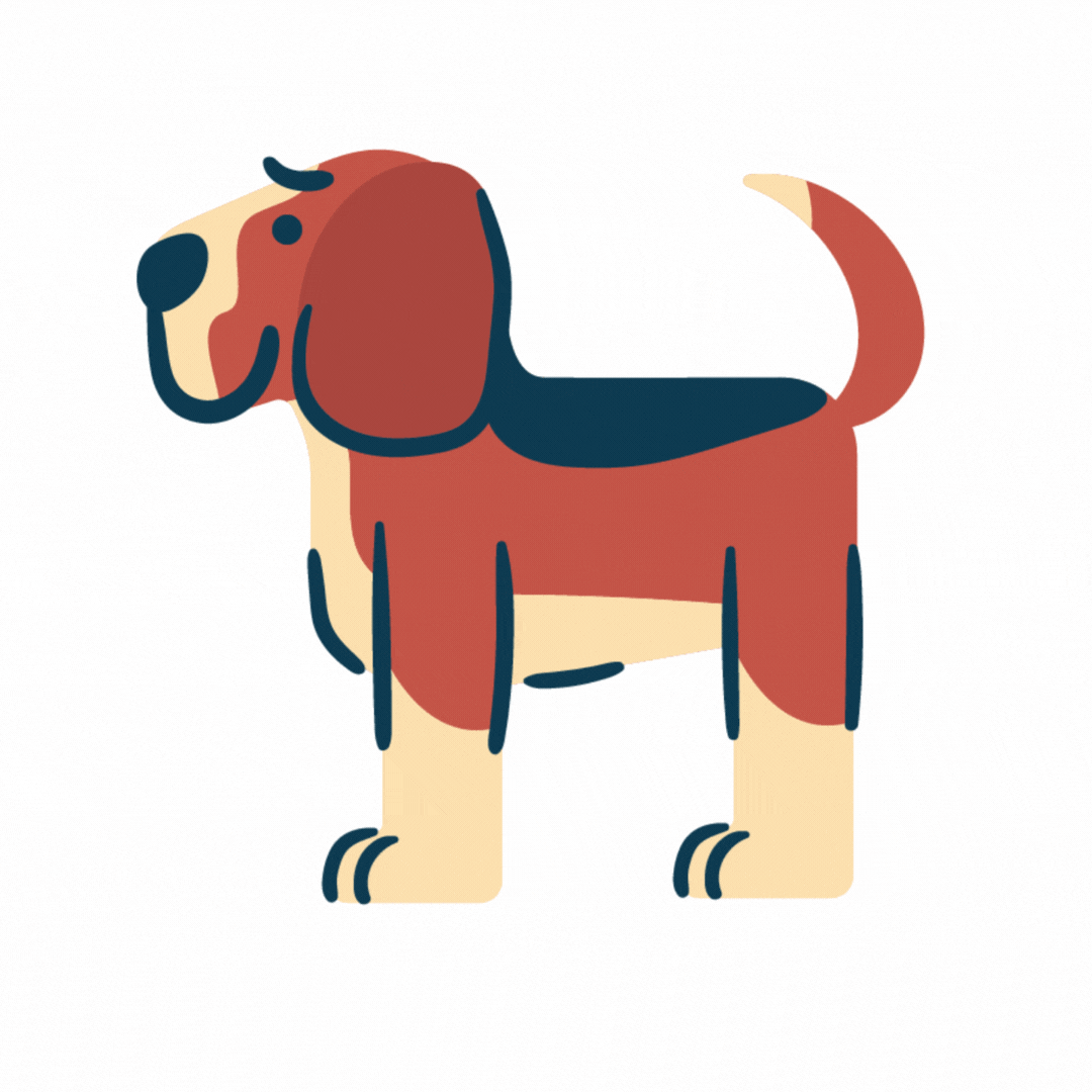 Hunde wissen